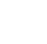 Dario Cerutti – Portfolio